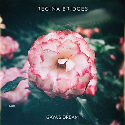 Pre Made Album Cover Careys Pink