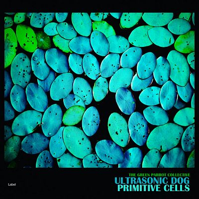 Pre Made Album Cover Bondi Blue