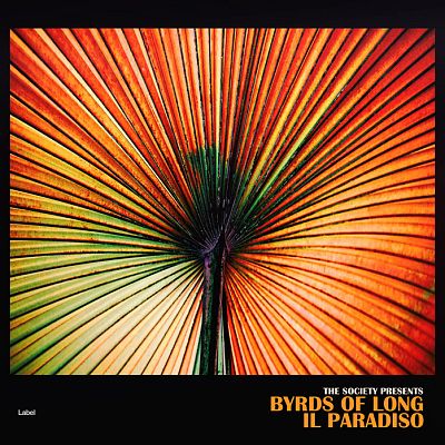 Pre Made Album Cover Rangoon Green