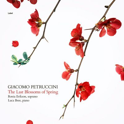 Pre Made Album Cover Hint of Red