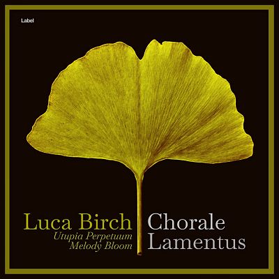 Pre Made Album Cover Cannon Black