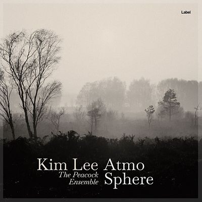 Pre Made Album Cover Cod Gray