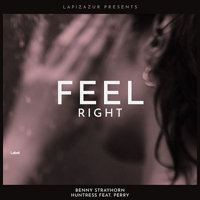 Pre Made Album Cover Cocoa Brown