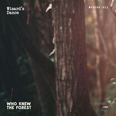 Pre Made Album Cover Dune