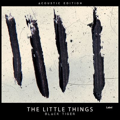 Pre Made Album Cover Satin Linen