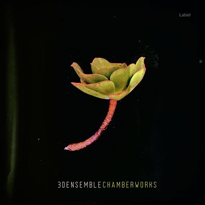 Pre Made Album Cover Marshland