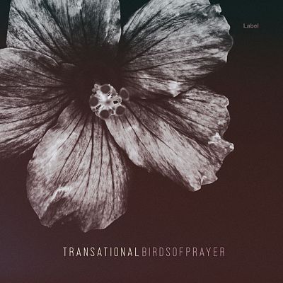 Pre Made Album Cover Woody Brown