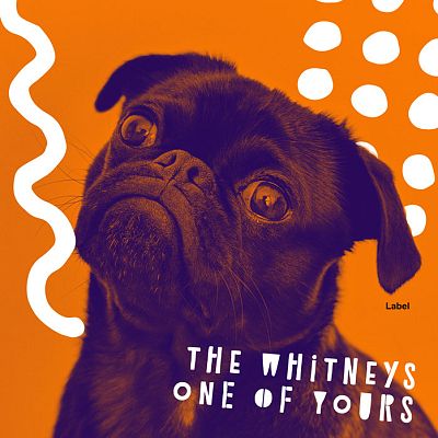 Pre Made Album Cover Tango