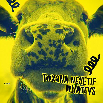 Pre Made Album Cover Bird Flower