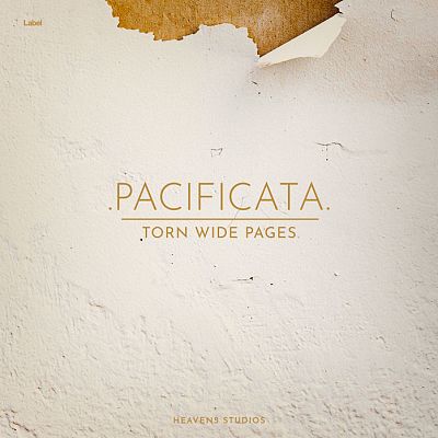 Pre Made Album Cover Moon Mist