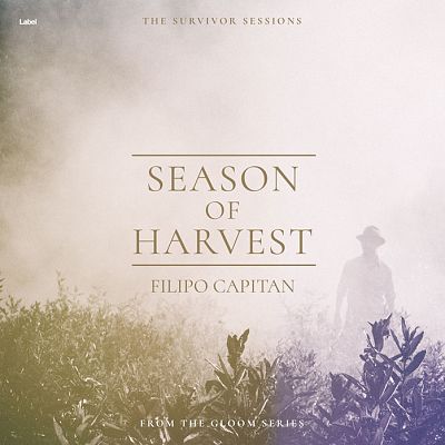 Pre Made Album Cover Ebb