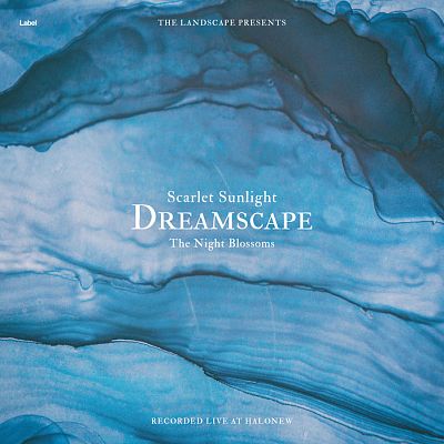 Pre Made Album Cover Steel Blue