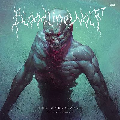 Pre Made Album Cover Patina