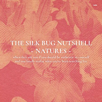 Pre Made Album Cover Copperfield