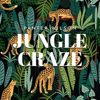 Pre Made Album Cover Laser