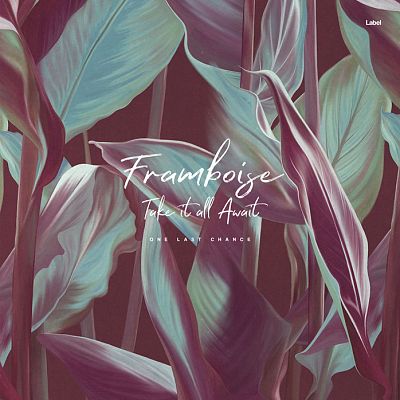 Pre Made Album Cover Eggplant