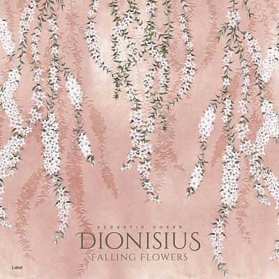 Pre Made Album Cover Cavern Pink