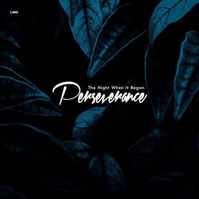 Pre Made Album Cover Firefly