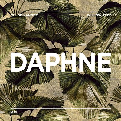 Pre Made Album Cover Birch