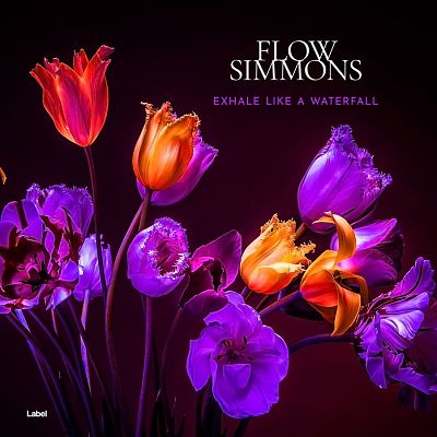 Pre Made Album Cover Mulberry