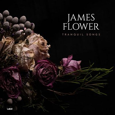 Pre Made Album Cover Zeus