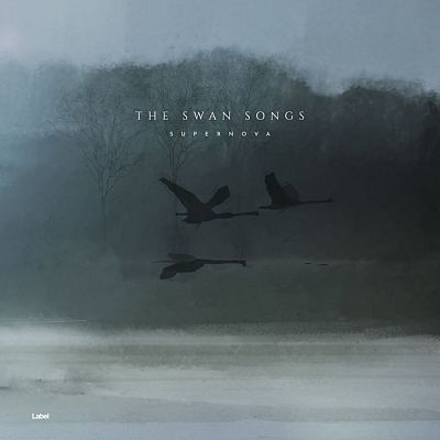 Pre Made Album Cover Limed Spruce