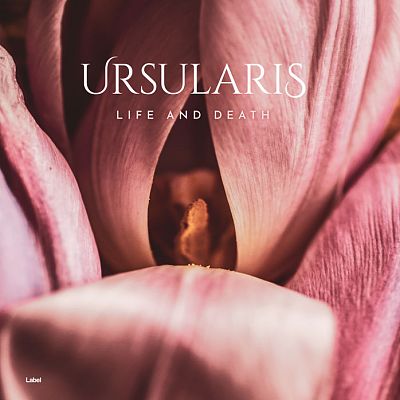 Pre Made Album Cover Turkish Rose