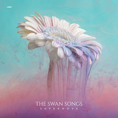 Pre Made Album Cover Gray Chateau