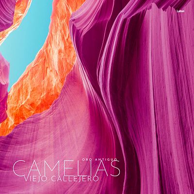 Pre Made Album Cover Mulberry