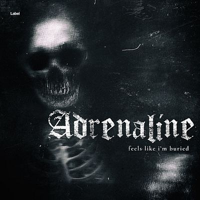 Pre Made Album Cover Bunker