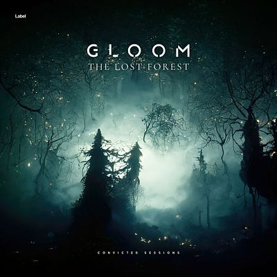 Pre Made Album Cover Aztec