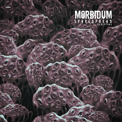 Pre Made Album Cover Tundora