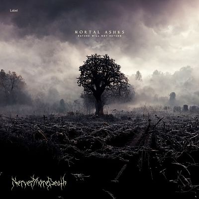 Pre Made Album Cover Silver Rust