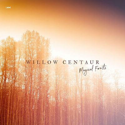 Pre Made Album Cover Gold Sand