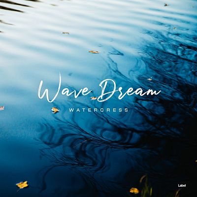 Pre Made Album Cover Blue Whale