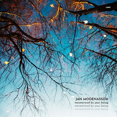 Pre Made Album Cover Bright Gray