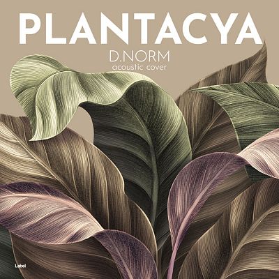 Pre Made Album Cover Sandstone