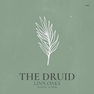 Pre Made Album Cover Envy