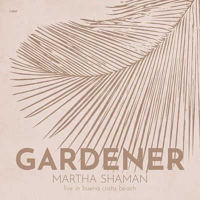 Pre Made Album Cover Dust Storm