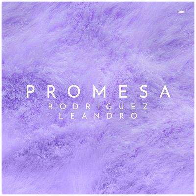 Pre Made Album Cover Biloba Flower