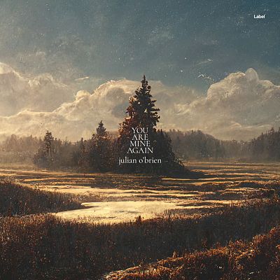 Pre Made Album Cover Chicago