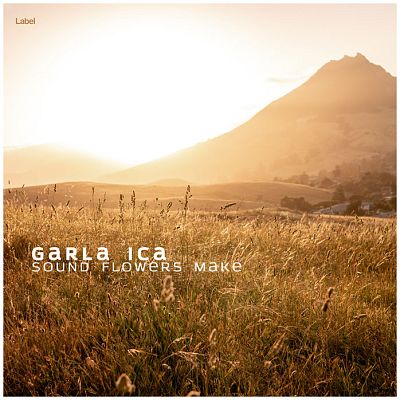 Pre Made Album Cover Driftwood