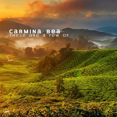 Pre Made Album Cover Dallas