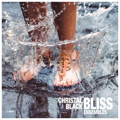 Pre Made Album Cover Aluminium