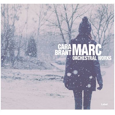 Pre Made Album Cover Gray Suit