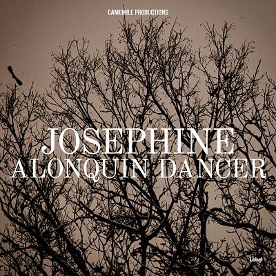 Pre Made Album Cover Sand Dune