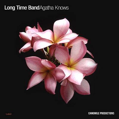 Pre Made Album Cover Oriental Pink