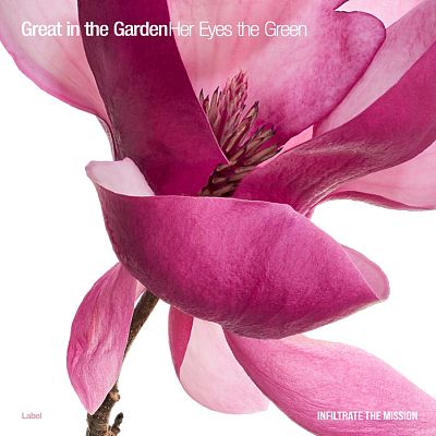 Pre Made Album Cover Cadillac