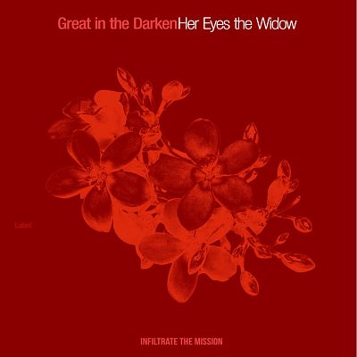 Pre Made Album Cover Red Berry