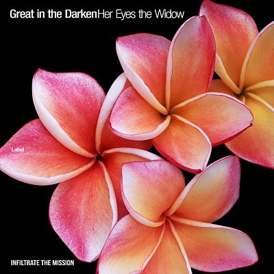 Pre Made Album Cover Black